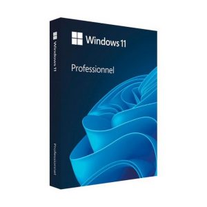 Windows 11 Pro - 1 PC